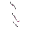 https://www.eldarya.fr/assets/img/item/player//icon/d2b30992a948f3902ee71d3ca3d3ae96~1686836529.png