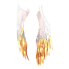 https://www.eldarya.fr/assets/img/item/player//icon/f37645cfb28f9c752dc0b9d44bb56e4e~1548239248.png