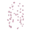 https://www.eldarya.fr/assets/img/item/player/icon/0436013a552da065b3193de5470675ff~1623746441.png