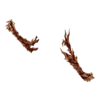 https://www.eldarya.fr/assets/img/item/player/icon/1058ecf7dbb305f0151d336539f02365.png