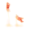 https://www.eldarya.fr/assets/img/item/player/icon/13dbdfd7311c578d9d63395c38bb87d4~1602169651.png