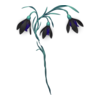 https://www.eldarya.fr/assets/img/item/player/icon/18728d28021ab87f3890a75f7be87f89.png