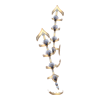 https://www.eldarya.fr/assets/img/item/player/icon/1b2f613b68dd9930f58fe1a5db904171.png