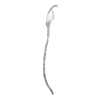 https://www.eldarya.fr/assets/img/item/player/icon/34a79633f17a5eb61021fbc7cbcbfbd7~1629731641.png