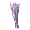 https://www.eldarya.fr/assets/img/item/player/icon/58001a6480f81bbcc8c954684b3a7a51.png