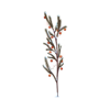 https://www.eldarya.fr/assets/img/item/player/icon/6191fc97b68cde16981b7df782b6967f~1482508266.png