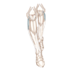 https://www.eldarya.fr/assets/img/item/player/icon/7ce47d31b9d4607e49a48e57217de400~1658483041.png
