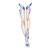 https://www.eldarya.fr/assets/img/item/player/icon/9217f48a3a210a94ac65757914f77004.png