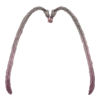 https://www.eldarya.fr/assets/img/item/player/icon/a7d3747de7cfa2b5976bcdc0a53af3fe.png