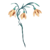 https://www.eldarya.fr/assets/img/item/player/icon/b7a2af3f95d66704cf00b86c11111656.png