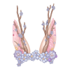 https://www.eldarya.fr/assets/img/item/player/icon/b7f00930c529c2e774a56a94e797401c~1641549885.png