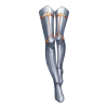https://www.eldarya.fr/assets/img/item/player/icon/e41020582b3632eb18d6e8f9d36bc7d6.png