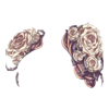 https://www.eldarya.fr/assets/img/item/player/icon/fd8e1629b31a52aab20769a7a7c5d520.png
