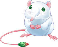 https://www.eldarya.fr/assets/img/pet/library/b5db4aed44645c91707ba588a5b8b2be.png