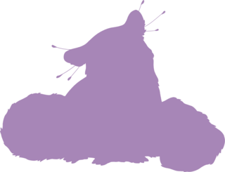 https://www.eldarya.fr/assets/img/pet/library/unknown/1f22de896195879d448d1744530db1dd.png