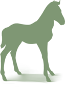 https://www.eldarya.fr/assets/img/pet/library/unknown/4a739ab44452a9024ac5adb798a3d6d9.png