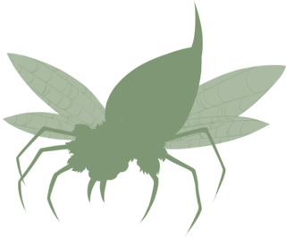 https://www.eldarya.fr/assets/img/pet/library/unknown/561b727cecb987026f29771d17da6cf2.png