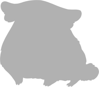 https://www.eldarya.fr/assets/img/pet/library/unknown/63abac3b2dc5cfefb73d026a8dda231a.png