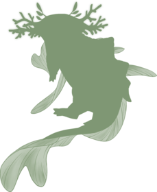 https://www.eldarya.fr/assets/img/pet/library/unknown/72a61908d7a6d4a2a6e0aff52dcc295c.png