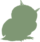 https://www.eldarya.fr/assets/img/pet/library/unknown/7b8b7a96978c33e1a2eec91f547cfcb6.png