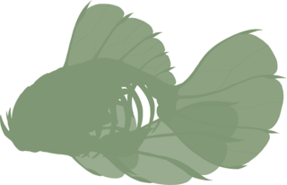 https://www.eldarya.fr/assets/img/pet/library/unknown/87bf7515c2d8afe8db0c113e6a21a9dc.png
