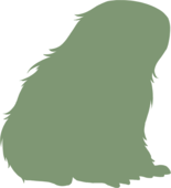 https://www.eldarya.fr/assets/img/pet/library/unknown/8e5ed189931a62a734ad73e9ff8ea69b.png