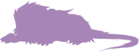 https://www.eldarya.fr/assets/img/pet/library/unknown/a828aae9d36a48ef0dd2574c690e8876.png