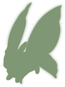 https://www.eldarya.fr/assets/img/pet/library/unknown/d193441c92757c4d4e16e4b5c12a102b.png
