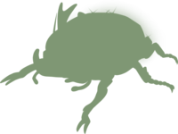 https://www.eldarya.fr/assets/img/pet/library/unknown/f6fccbfbb38a7dcd101c2b94c0e522dc.png