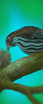 https://www.eldarya.fr/assets/img/scenario/9b4b1b9f2fe3e677879c982325a3684f.png
