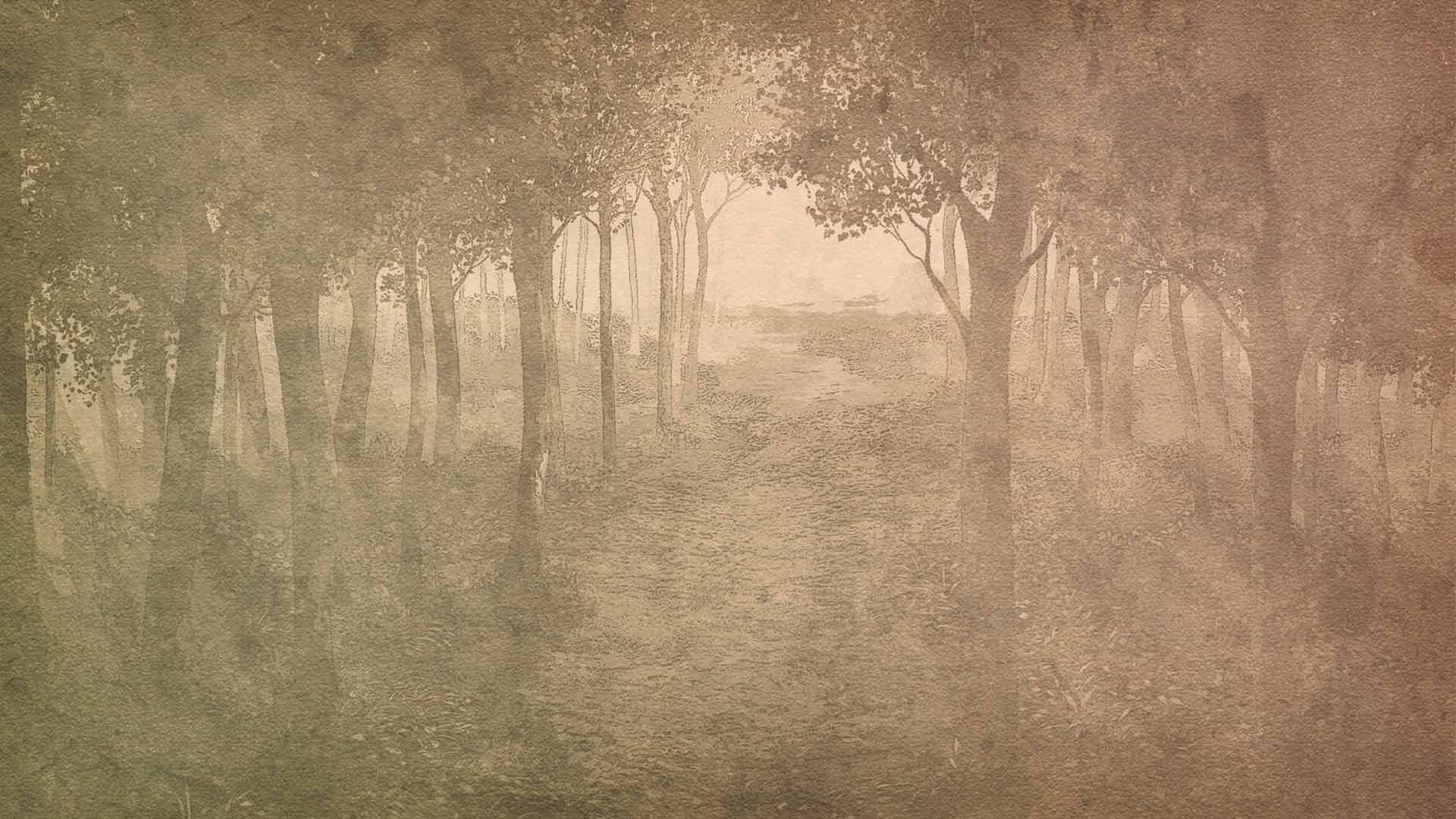 https://www.eldarya.fr/static/img/diaries/background/nbtfz.jpg