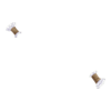 Items uniques