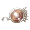 D&eacute;clinaisons