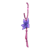 D&eacute;clinaisons