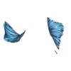 D&eacute;clinaisons