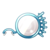 D&eacute;clinaisons