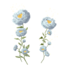D&eacute;clinaisons