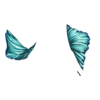 D&eacute;clinaisons