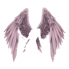 Ailes Fallen Aengel