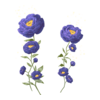 D&eacute;clinaisons