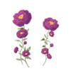 D&eacute;clinaisons