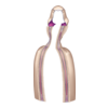 D&eacute;clinaisons