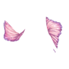 D&eacute;clinaisons