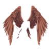 Ailes Fallen Aengel