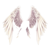 Ailes Fallen Aengel