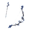 D&eacute;clinaisons