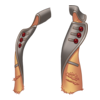 D&eacute;clinaisons