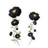 D&eacute;clinaisons