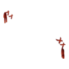 D&eacute;clinaisons