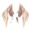 Ailes Fallen Aengel